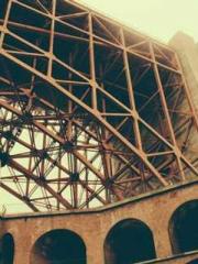 One Pregnancy, Two B