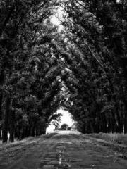 Awakening of the Mas