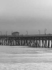 Peninsula Asteroid l