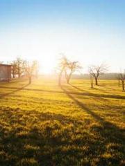 Becoming a Farm Girl