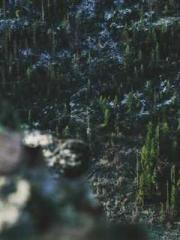 lt;Dragon King Legen