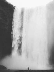 The Favorite Concubi