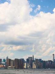 lt;The Dragon Discar