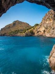 Double Blessing: CEO