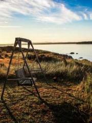 Reborn in 1989: Crea