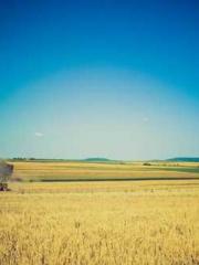 My stunning aunt lt;