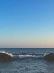 King of Nine Profoun