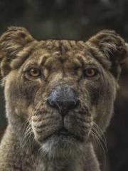 Do not deprive me of