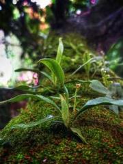 lt;lt;The Trash Husb