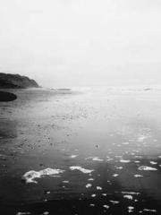 A Spicy Wife from th