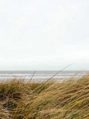 I have seven fairy g