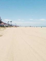 The  Princess  Rebor