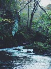 lt;Jingyuan Rong Sha