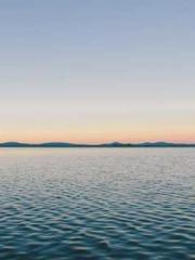 Rebirth of the Urban