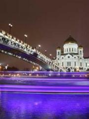 Reborn in the Apocal