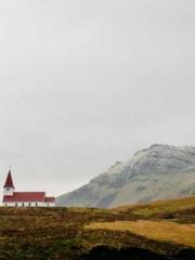 King of the Nine Pro