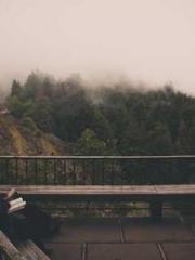 I Picked Up a Cultiv