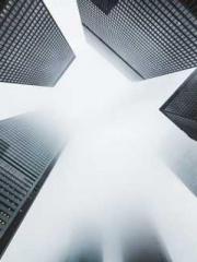 Transmigration: Feel