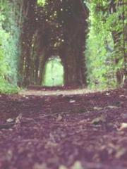 My rewards double au