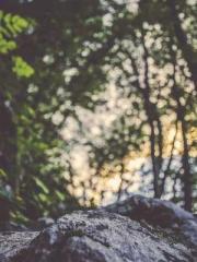 One Pregnancy, Two B