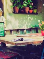 lt;Gingerly, Shen Qi