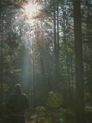 Rebirth of the Urban