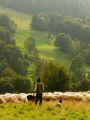 Eternal Sword Ancest