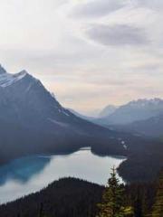 The Realm of the Dao