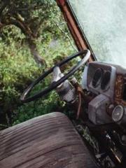 The Realm of the Dao