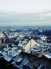 The Imperial Concubi